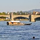 Basel Rhine Ferry