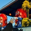 Waggis throwing oranges to carnival spectators