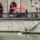 Feeding swans on the River Limmat