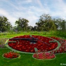 The flower clock in Geneva (summer 2010)