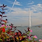 The Jet d'eau and flowers in Geneva