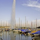 The Jet d'eau and swans in Geneva